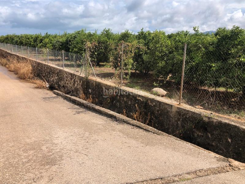 Foto 0f2de12a-d467-4c55-a4b2-abea81f403a0. Rural plot in n/a in Oliva pueblo Oliva