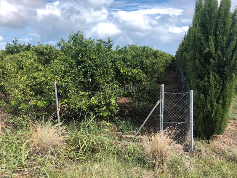 Foto 12e1781a-f3d4-42d4-9d6a-def7f28d669f. Rural plot in n/a in Oliva pueblo Oliva