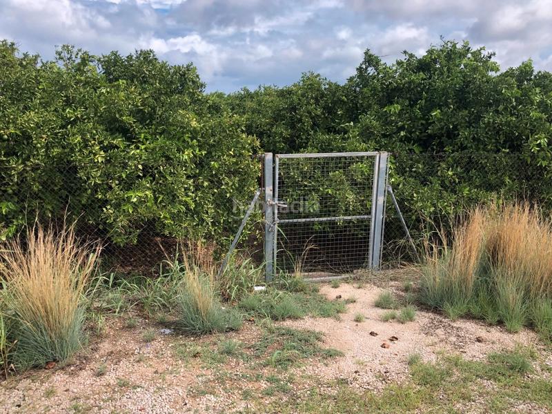 Foto 3ae76bd8-0e80-441c-b07c-055a0f37601c. Rural plot in n/a in Oliva pueblo Oliva