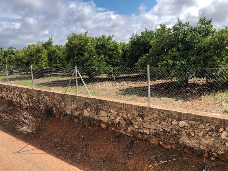 Foto 4b5b669a-0f34-44d5-a201-ef24ae274fe7. Rural plot in n/a in Oliva pueblo Oliva