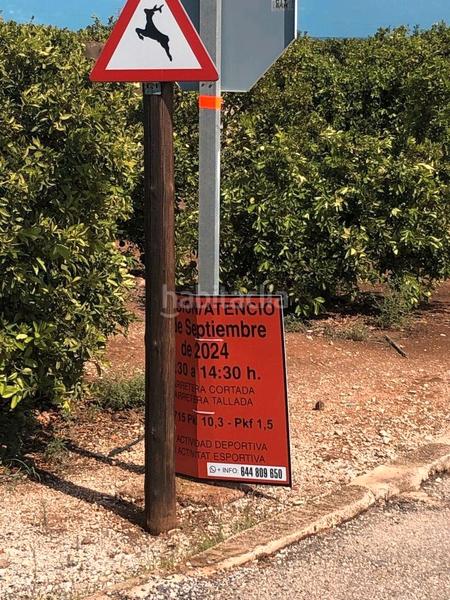 Foto ac2c16bd-0979-4789-a992-2eb36a381e50. Rural plot in n/a in Oliva pueblo Oliva