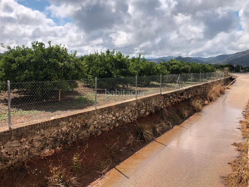 Foto bd477ae6-15fa-461c-8805-412ab334a350. Rural plot in n/a in Oliva pueblo Oliva