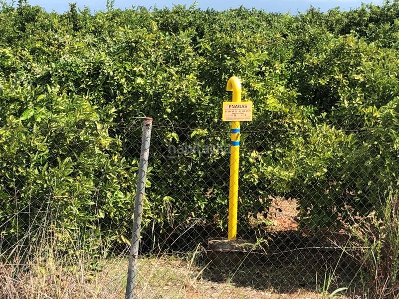 Foto dfd53f94-d2df-4628-bb66-3bb762f5804c. Rural plot in n/a in Oliva pueblo Oliva