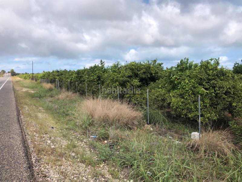 Foto faee962f-d047-41b1-88b5-f3d987bed403. Rural plot in n/a in Oliva pueblo Oliva