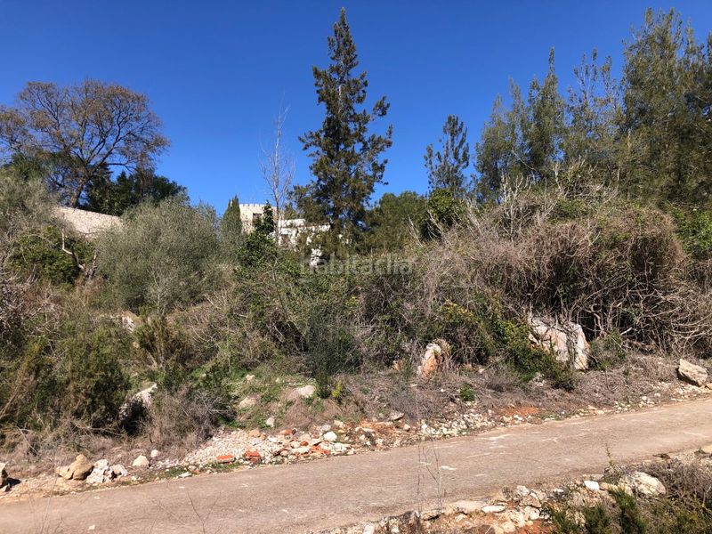 Foto ea22a6d3-2d6a-4642-8094-640487130fbe. Rural plot in Barx