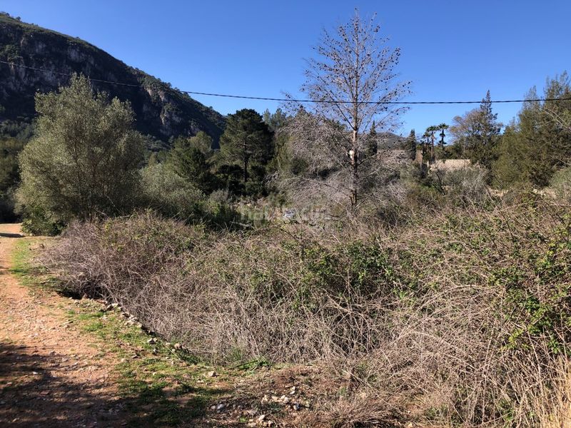Foto 0bc0c367-67e2-4bd2-974f-ac91eed0c340. Rural plot in Barx