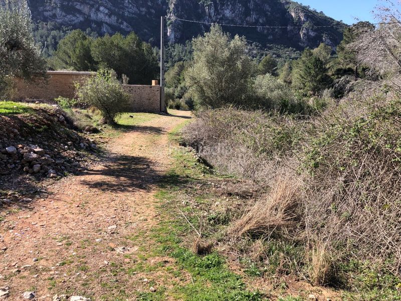 Foto 6a92ac93-129c-4b95-9200-ce77a326043b. Rural plot in Barx