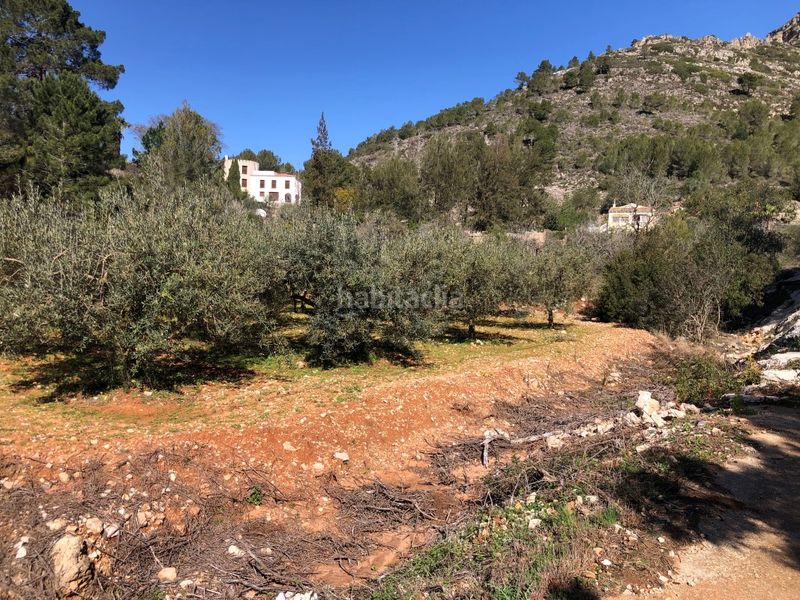 Foto ac613a4a-af8e-4cfc-b63e-e2ee58fa882d. Rural plot in Barx