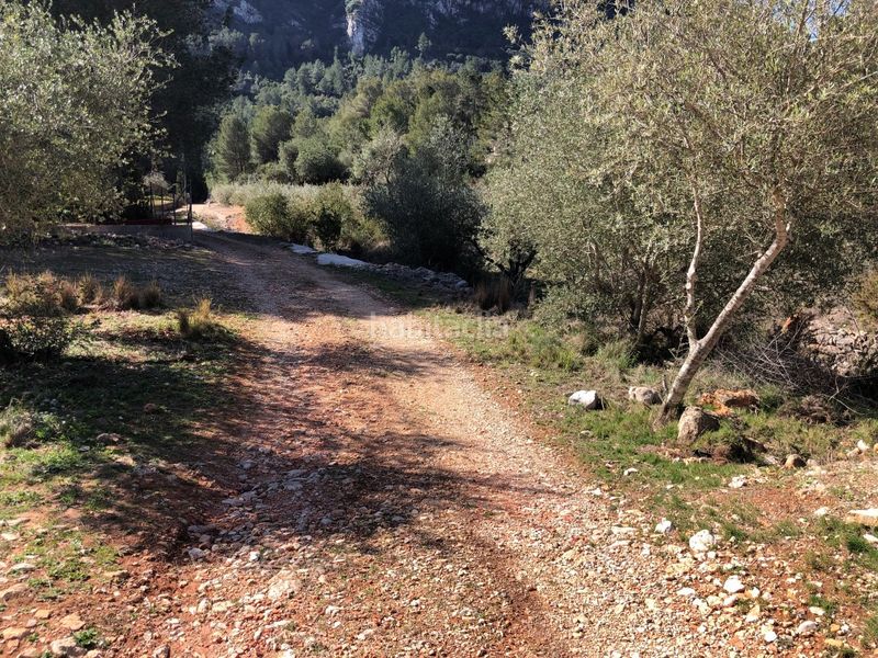 Foto d93ac991-56d0-4bd3-b60a-331cc712ccb1. Rural plot in Barx