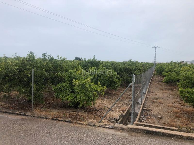 Foto 6c6f7912-a7b9-4bb6-9b00-002f25113f78. Fondo rustico in Castelló de Rugat
