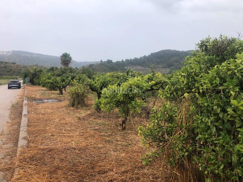 Foto 93185dc5-af6c-46df-98c0-928b4317bc39. Fondo rustico in Castelló de Rugat