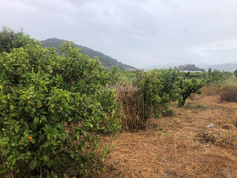 Foto 5686386e-7451-47f4-91be-2db8c2ea358b. Rural plot in Castelló de Rugat