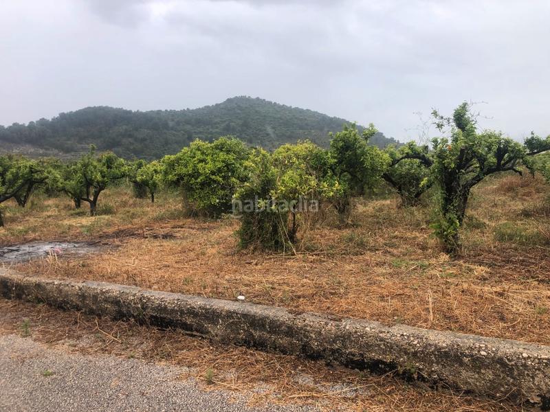 Foto 6e199544-a426-4b20-ac51-3cd78b08daf5. Rural plot in Castelló de Rugat