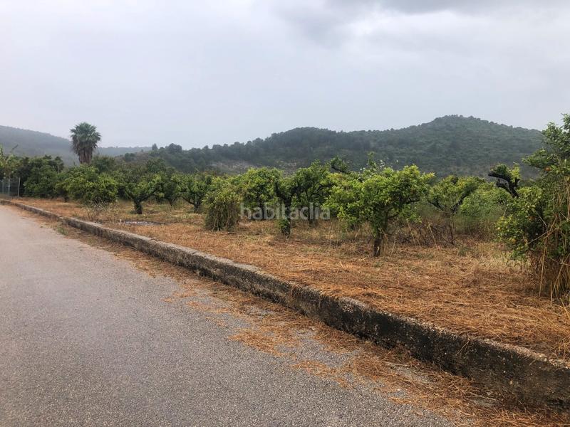 Foto b33d10ec-e5af-4acd-9046-f48269c3aca7. Rural plot in Castelló de Rugat