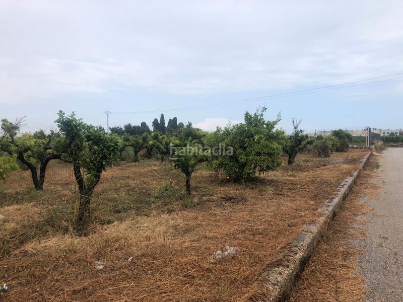 Foto ce75bbe5-9859-4dcc-9648-1186f84fbc41. Rural plot in Castelló de Rugat