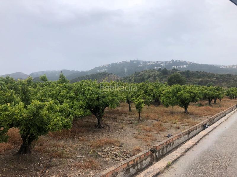 Foto dea34028-007b-449f-82fb-bca16b25ed38. Rural plot in Castelló de Rugat