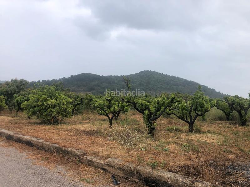 Foto f0e31581-700d-4cfc-80d1-658a25061997. Rural plot in Castelló de Rugat