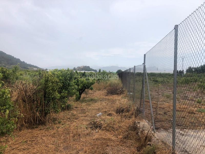 Foto fbb35710-2f18-4e38-ad64-12a9cc686325. Rural plot in Castelló de Rugat