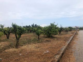 Finca rústica a Castelló de Rugat