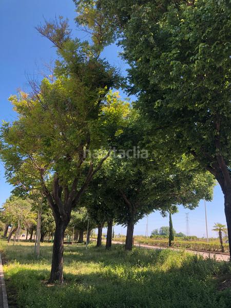 Foto fb7a0781-8618-4790-b208-b48d5e9d91c8. Chalet en Park Nord - Casona Gandia