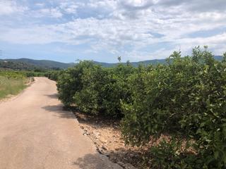Finca rústica a Ador