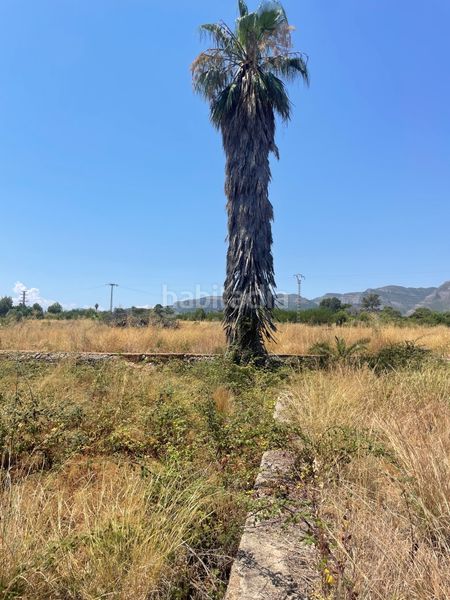 Foto 271ffa10-d1a1-489d-ace5-814bd13600d7. Finca rústica en Urbanizaciones Gandia