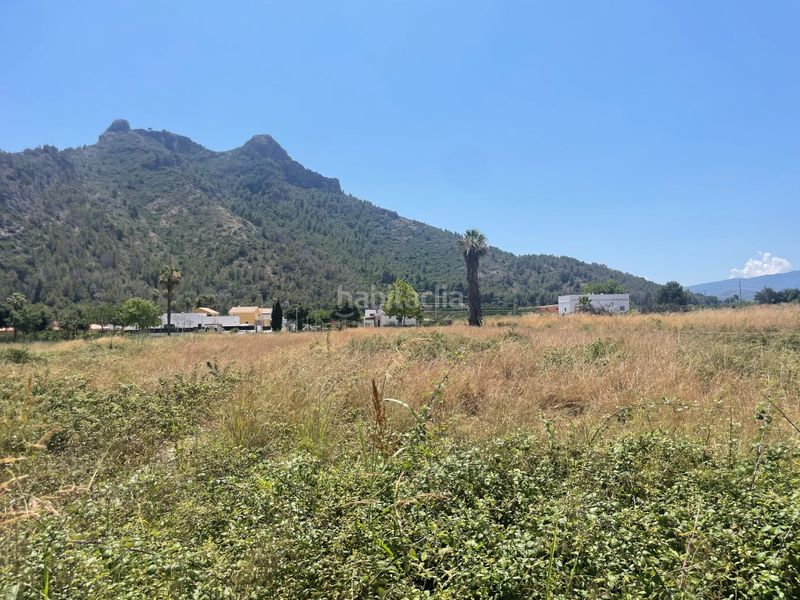 Foto 59882781-b8d6-4e4b-a1c1-d0514a50211f. Finca rústica en Urbanizaciones Gandia