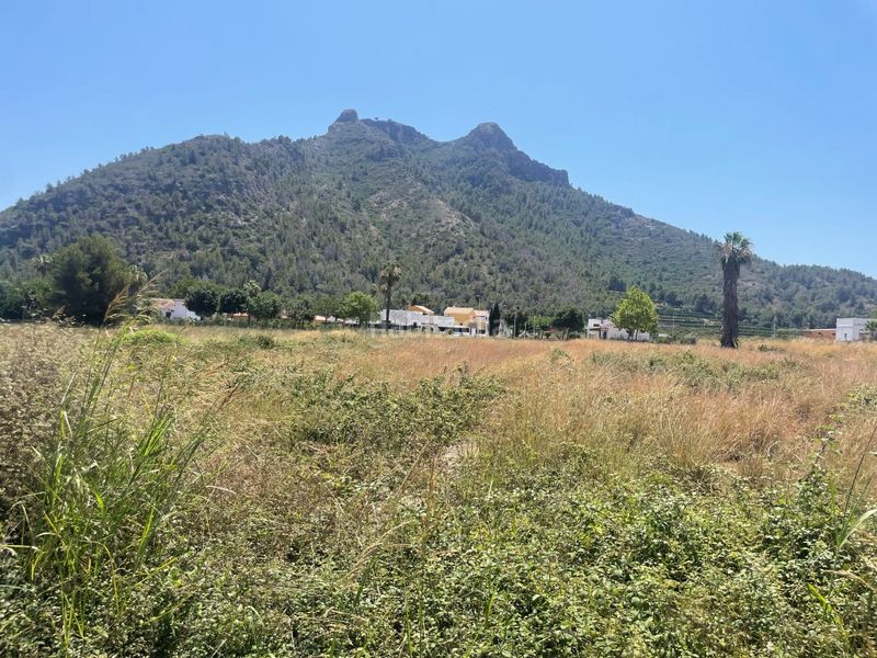 Foto abaff4aa-938a-4919-a2fb-4709e28304a1. Finca rústica en Urbanizaciones Gandia