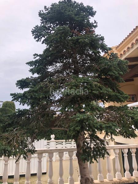 Foto e40e4459-8f74-4fc6-a4a9-5105812a01b3. Chalet con camino piscina in Playa de Gandía Gandia