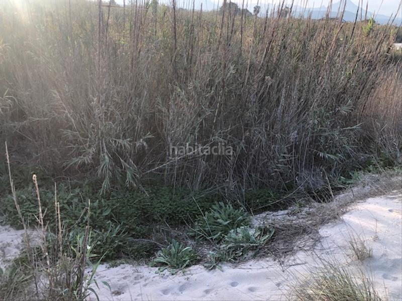 Foto 11a26994-3dec-4fa9-9435-2d08e3a69160. Casa en Grau de Gandía-Marenys de Rafalcaid Gandia