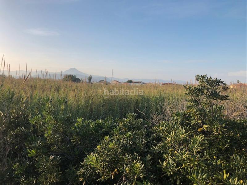 Foto 1de91fca-16c6-4cb5-b444-478658ce0b46. Casa en Grau de Gandía-Marenys de Rafalcaid Gandia