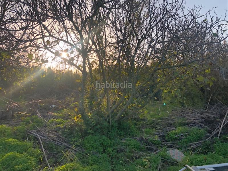 Foto cba73624-4e59-4743-bbef-c24deb48dc10. Casa en Grau de Gandía-Marenys de Rafalcaid Gandia