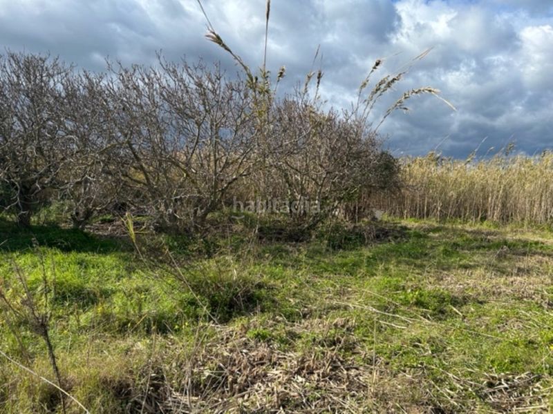 Foto dbedaa6d-8bbd-4459-82d9-98e6c9b14c31. Casa a Grau de Gandía-Marenys de Rafalcaid Gandia