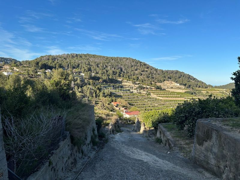 Foto 1a38a159-4cde-4dea-8821-5c34f4c4fa8d. Masia a Oliva pueblo Oliva