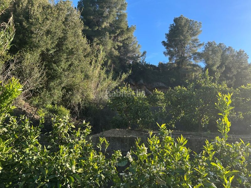 Foto 2481c9a3-de7d-4ea8-899b-c8b70d42b15b. Masia a Oliva pueblo Oliva