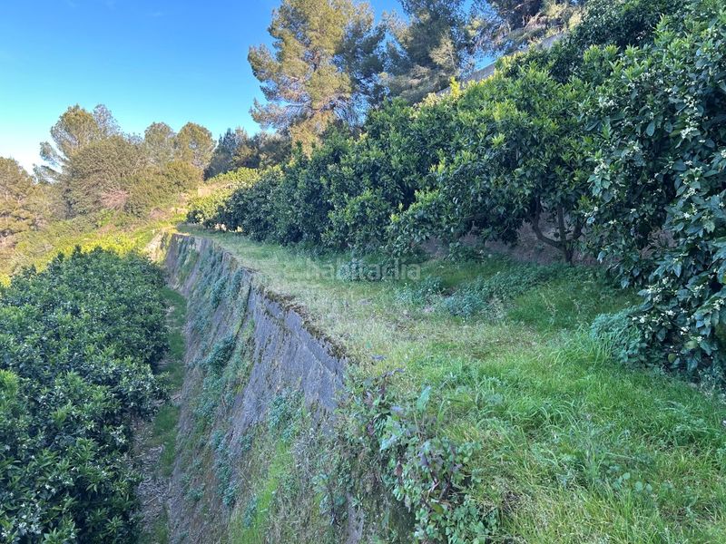 Foto 28e8985b-1518-471d-9343-26158cb7f8ba. Masia a Oliva pueblo Oliva