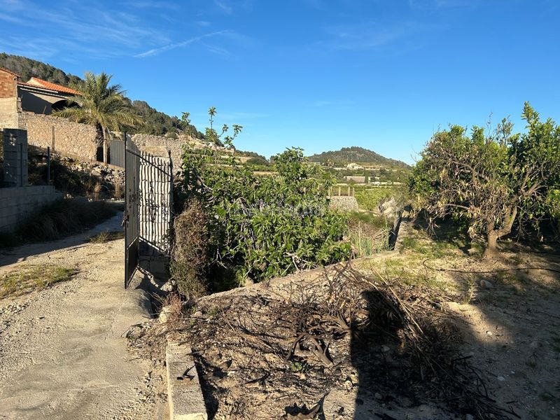 Foto 34767aaa-85fe-4e9f-bf81-70af5221a4c2. Masia a Oliva pueblo Oliva