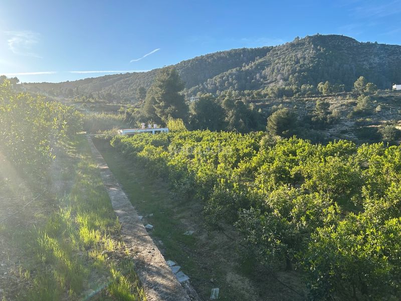 Foto 349914ba-b58d-4f8e-b541-ae819265a473. Masia a Oliva pueblo Oliva