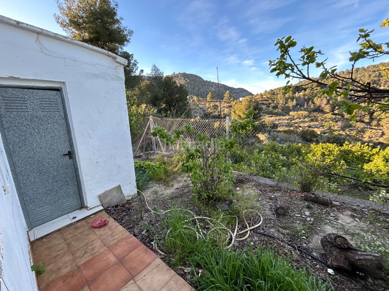 Foto 6137e842-34f5-4f99-a209-d4222ce01b31. Masia a Oliva pueblo Oliva