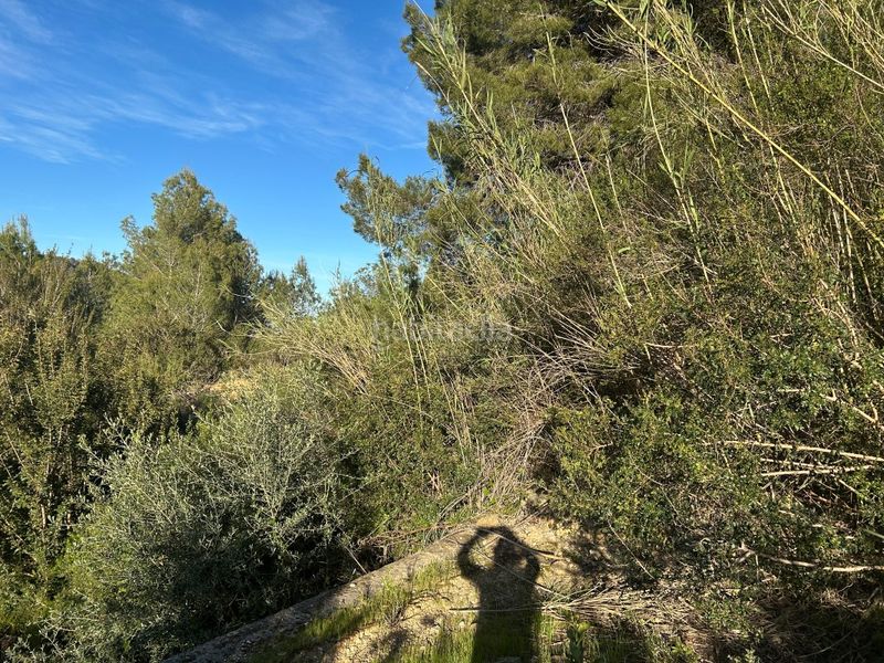 Foto 76ae5529-f7cd-4e16-a986-99f1fb3eb8b1. Masia a Oliva pueblo Oliva