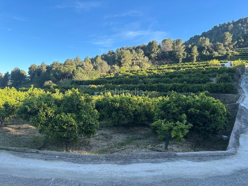 Foto 76d04faf-d9e2-4e35-8017-7f3d05bf2248. Masia a Oliva pueblo Oliva