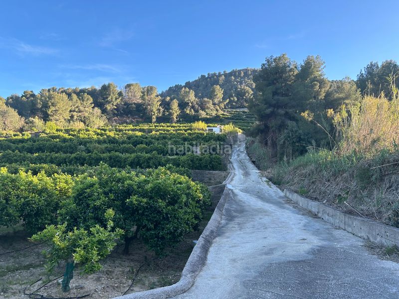 Foto 97645d36-2b2f-4a65-90bb-5b3aa30b7184. Masia a Oliva pueblo Oliva