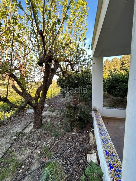 Foto 994af125-4336-4431-87f2-b0c9371745c9. Masia a Oliva pueblo Oliva