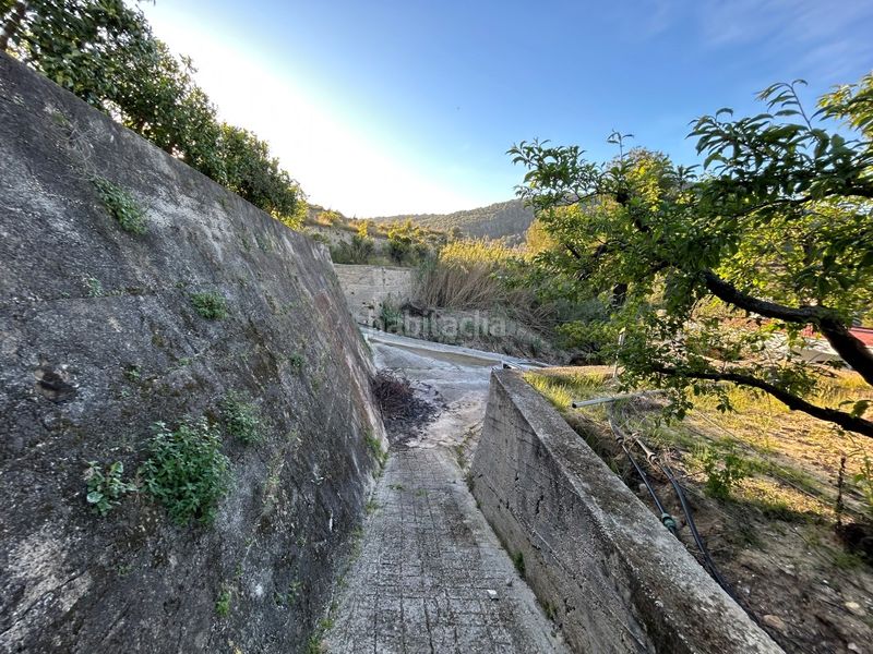 Foto a2587591-a53a-4030-9441-e1d0b012808e. Masia a Oliva pueblo Oliva