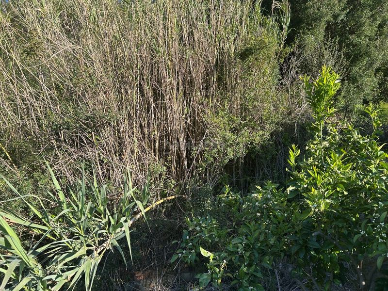 Foto ade2f6e5-9274-4a88-a15a-28cf16d0e521. Masia a Oliva pueblo Oliva