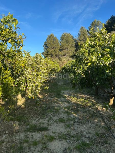 Foto ae2e9737-6cb3-4ad6-87ee-06c88e5a2721. Masia a Oliva pueblo Oliva