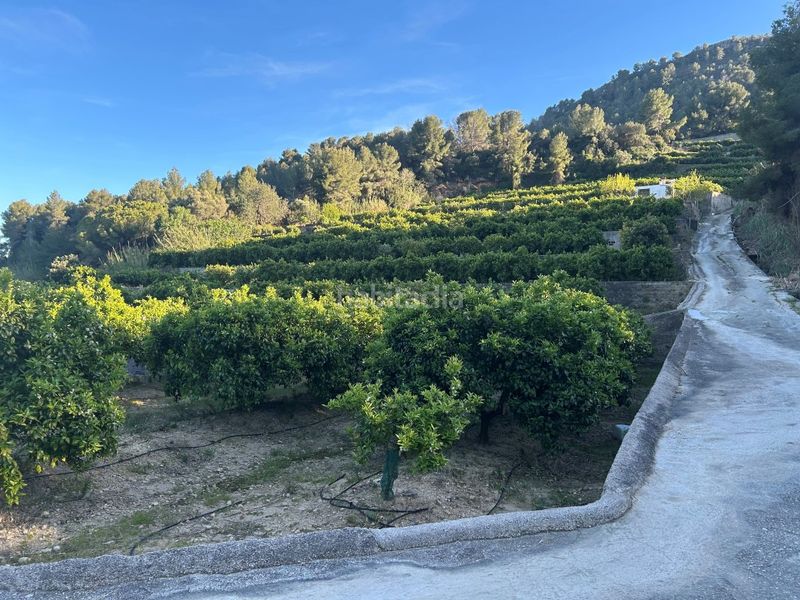 Foto b473b8b0-7870-4609-9f4b-972dd24ba1b2. Masia a Oliva pueblo Oliva