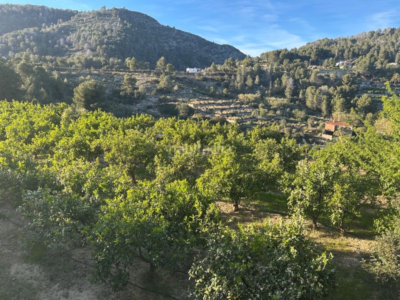 Foto b4f19f1e-dcf3-4681-b92a-0e0c155e0e0c. Masia a Oliva pueblo Oliva