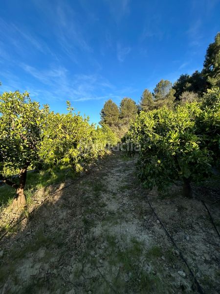 Foto c0579768-eb17-429a-a48c-28bd179ad61c. Masia a Oliva pueblo Oliva