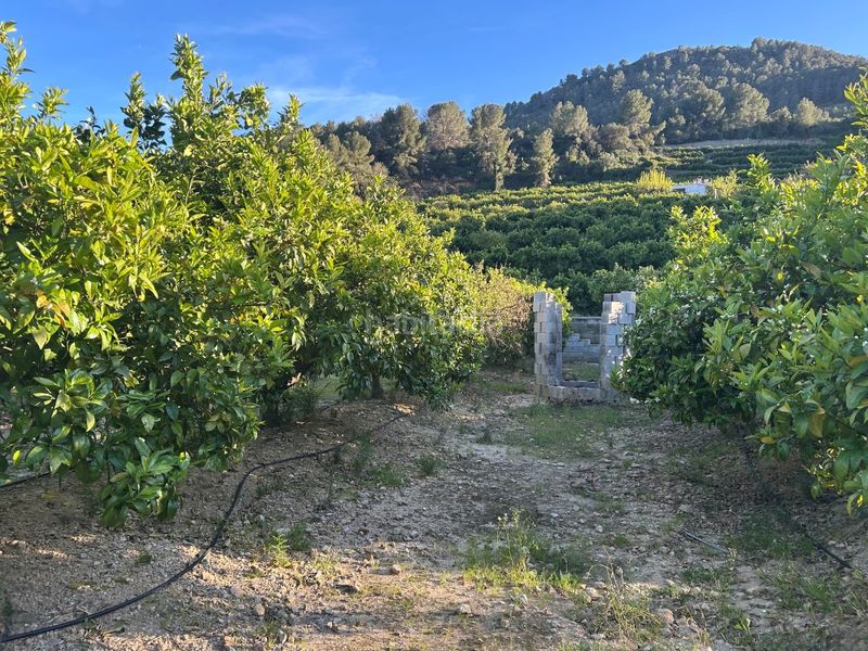 Foto c199adbe-5ecb-4415-95a7-a71d6cc80d63. Masia a Oliva pueblo Oliva